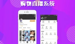 91李先生在那平台直播,揭秘直播背后的精彩故事